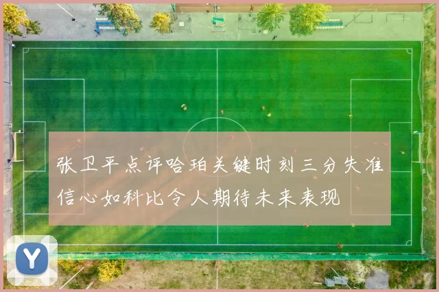 张卫平点评哈珀关键时刻三分失准信心如科比令人期待未来表现