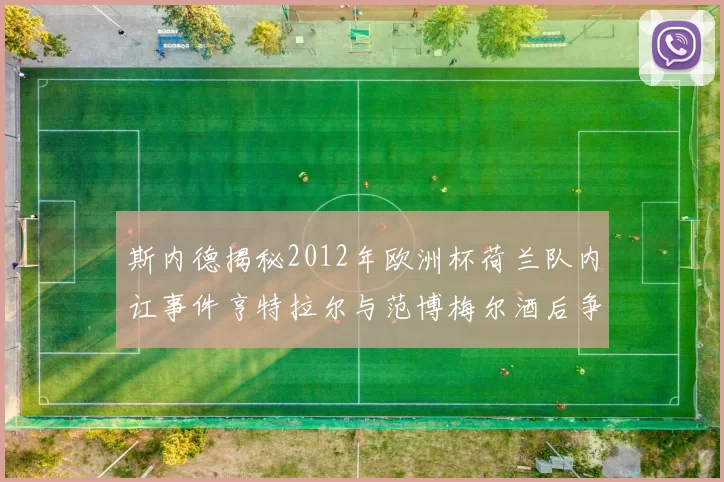 斯内德揭秘2012年欧洲杯荷兰队内讧事件亨特拉尔与范博梅尔酒后争执内幕